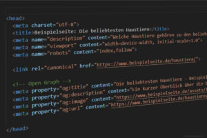 Meta-Tags für SEO: Welche Tags wirklich wichtig sind